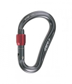 Camp karabina Atom Lock
